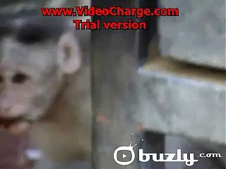 Come in or get lost?syndication=228326