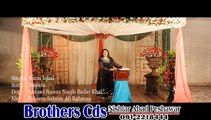 Pashto Film Wali Muhabbat Kawal Guna Da Hits HD Video 8