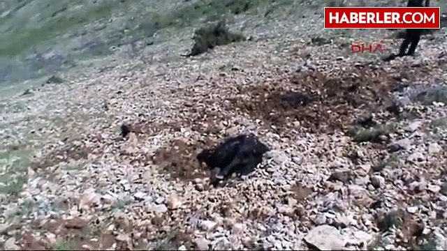 Gölbaşı?nda Yıldırım Düştü; Çoban Yaralandı, 9 Keçi Telef Oldu