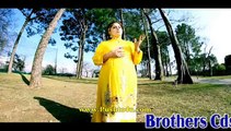 Pashto Film Wali Muhabbat Kawal Guna Da Hits HD Video 9