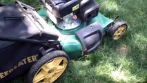Dog vs Lawn Mower (Round 2) | Furious Pete Dog Video