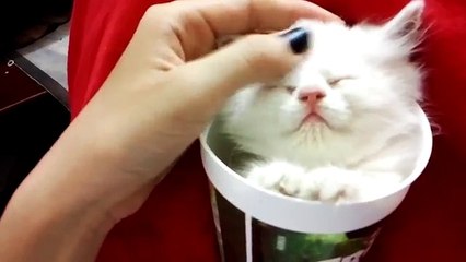 Oh my god that tenderness