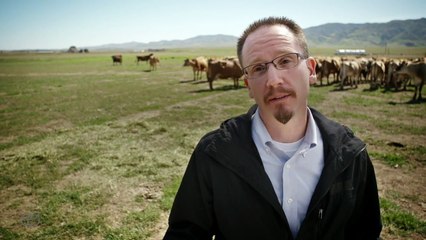 Toyota Mirai : "Fueled by bullshit"