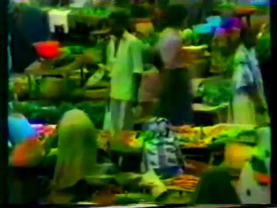 野生の王国　シーラカンス　1/3