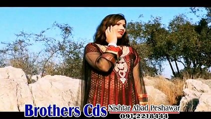 Pashto Film Wali Muhabbat Kawal Guna Da Hits HD Video 12