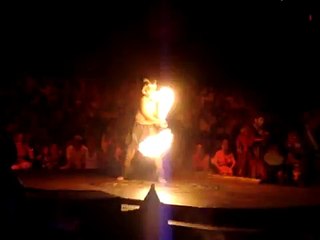 Disney World Lion King Animal Kingdom