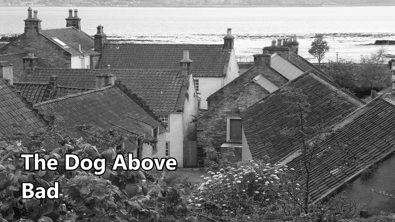 The Dog Above, Bad, Free Trance Music, Royalty Free Music