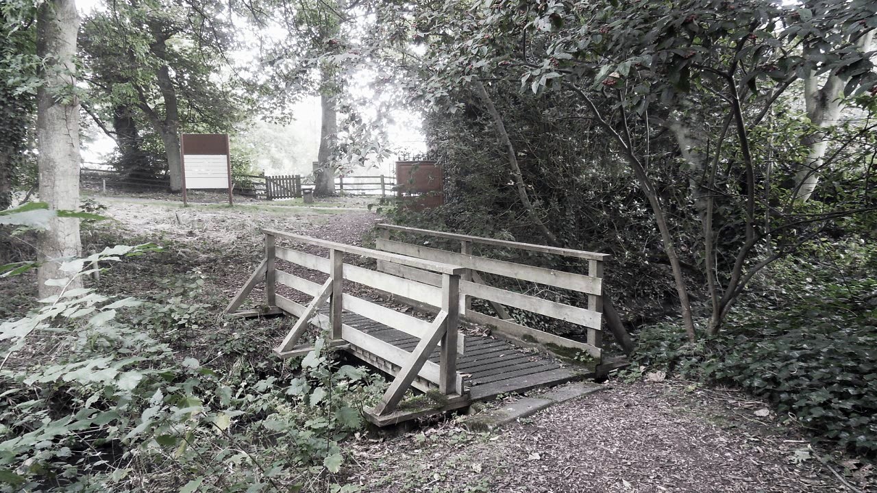 Plug&Play, You are my radio, Free Indie Rock Music, Royalty Free Music