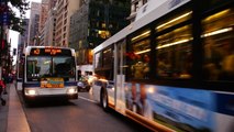 Coach USA & MTA New York City Bus : 5th Avenue Between 40th & 42nd Streets In Midtown, Manhattan