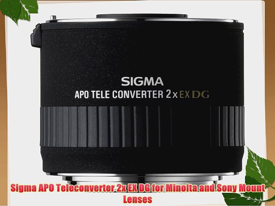 Sigma APO Teleconverter 2x EX DG for Minolta and Sony Mount Lenses