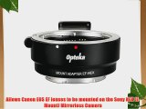 Opteka Auto Focus Lens Adapter for Canon EOS EF Lenses to Sony NEX (Mirrorless) Cameras