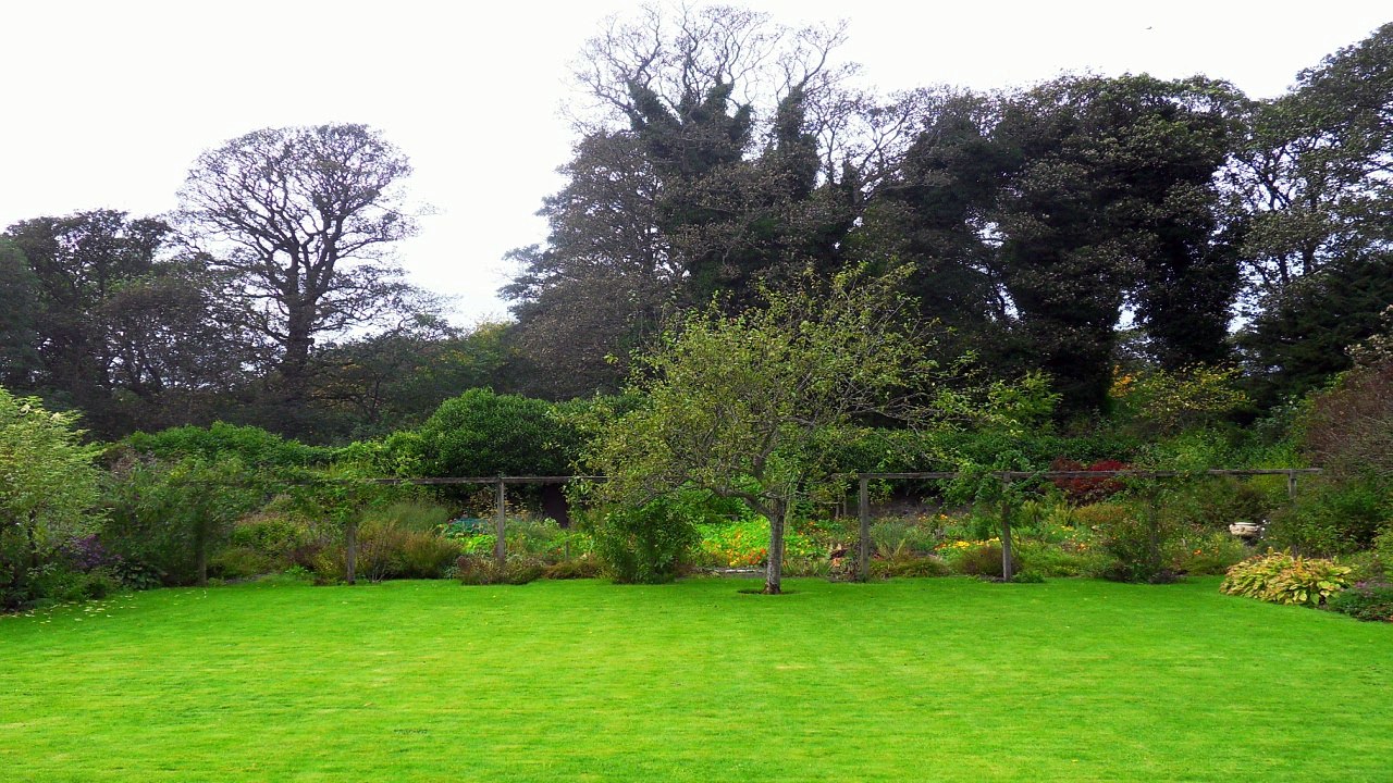 ieatpants, We are jealous, Free Acoustic Pop Music, Royalty Free Music