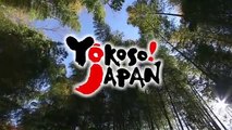 Japan Tourism Video - Soulful Japan Extended Version
