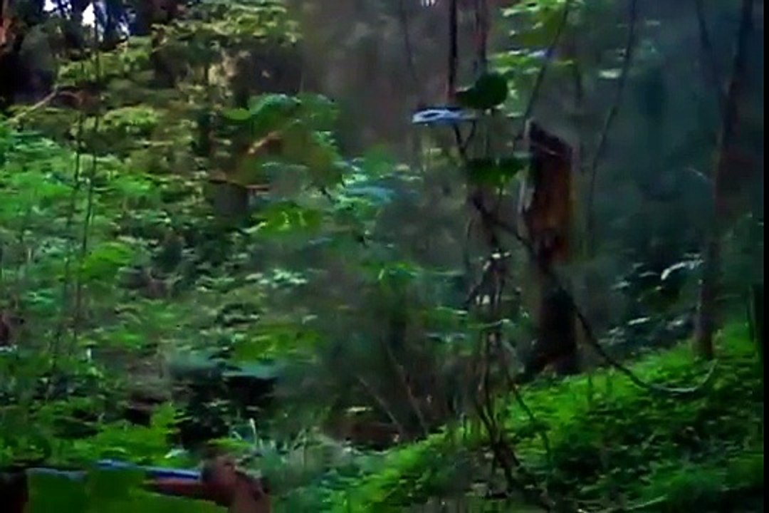 Russian space aliens UFO Alien Encounter Caught on Tape! Russia