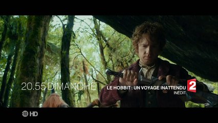 Le Hobbit, un voyage inattendu.  Dimanche 26/04 à 20.55