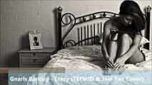 Gnarls Barkley - Crazy (TEEMID & Joie Tan Cover)