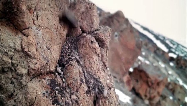 Yaşar Gündem Türkiye Ekonomi Bankası Reklam Filmi