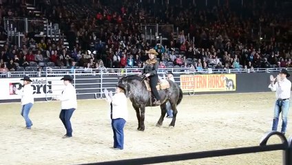Un cheval danse sur de la country