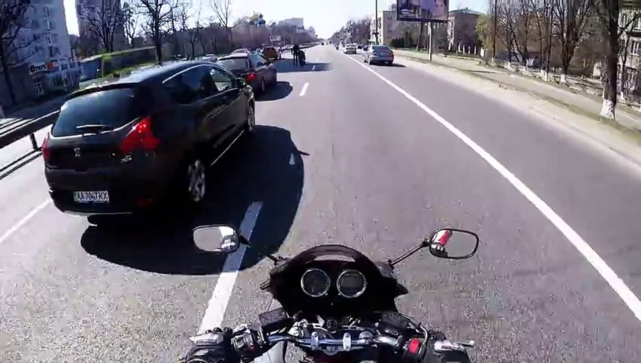 Des motards sauvent un chien sur la route