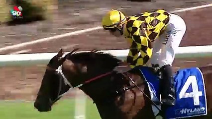 Blake Shinn In A 'Cracking' Finish