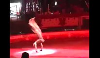 9 Year Old Boy Amazes Crowd While Performing His Circus Act