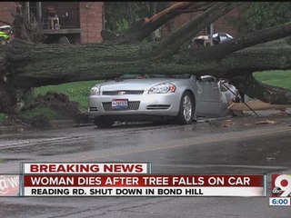 Woman dies after tree falls on car