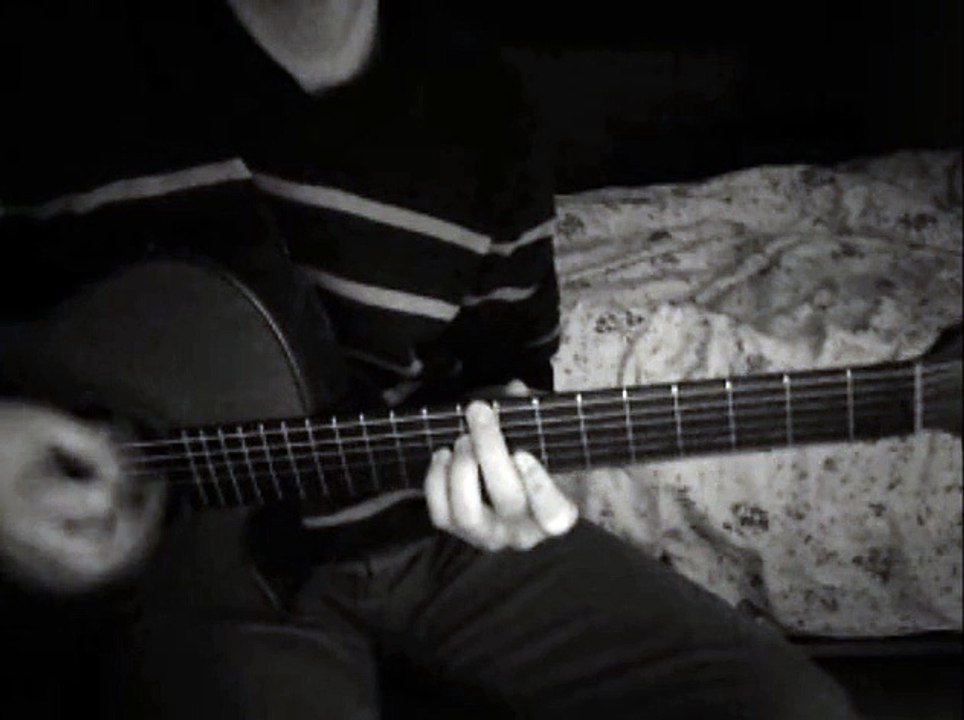 The Simpson theme cover (guitare folk)