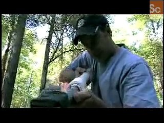 Mammals Vs. Dinos- T-Rex Bite Force