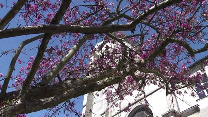 AFP - Le JT, 2e édition du vendredi 24 avril