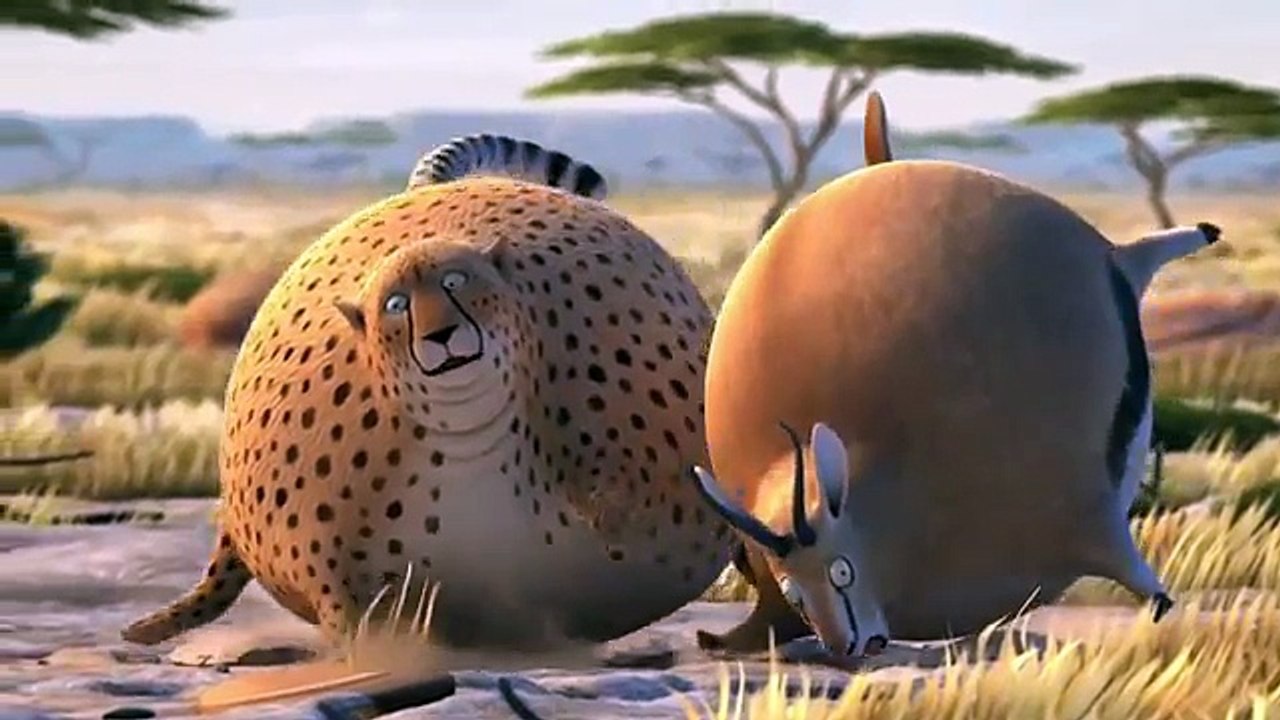 Funny Animal