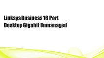 Linksys Business 16 Port Desktop Gigabit Unmanaged