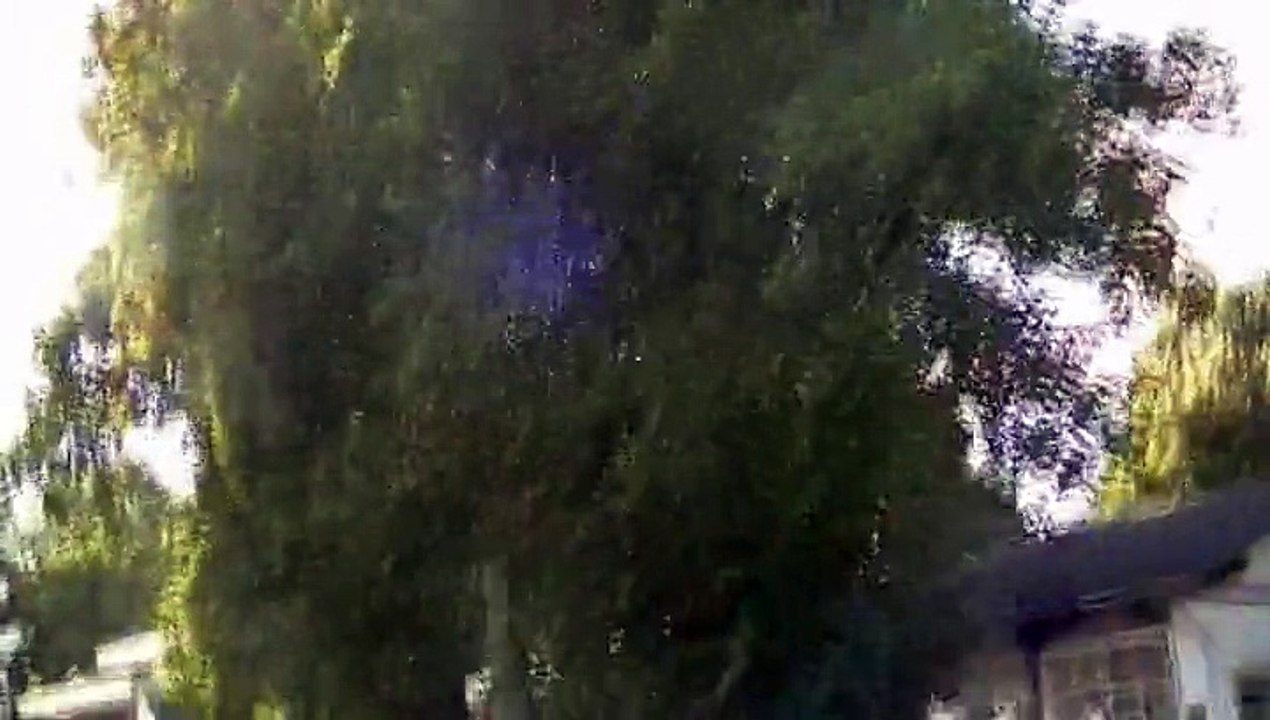 Voodo Lindenbergs sculpture in Timmendorf at the baltics