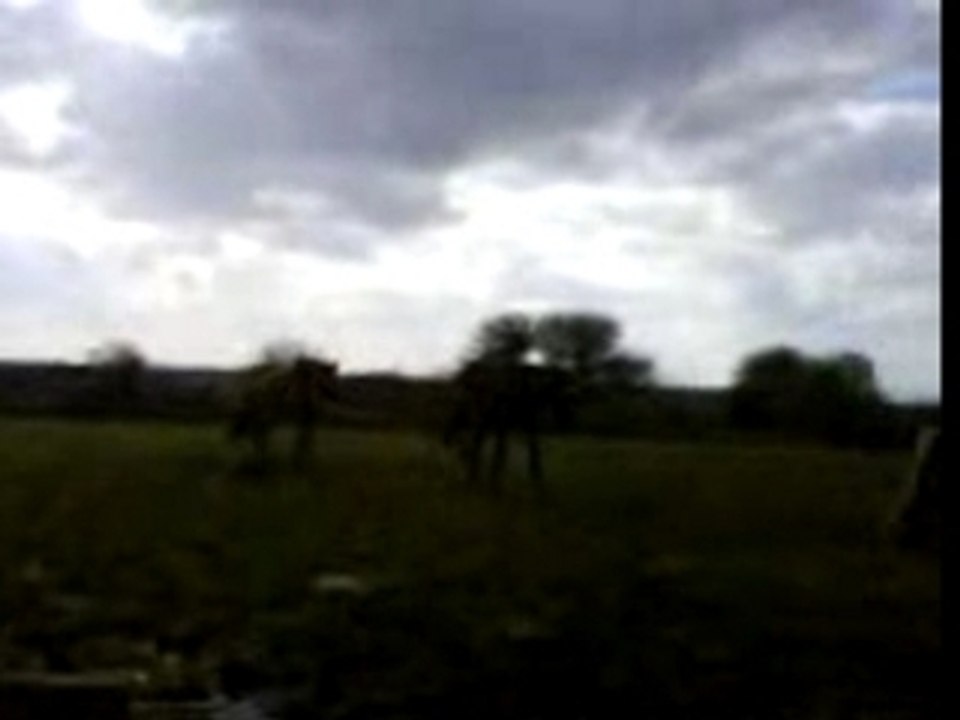 Le 20 mars 2007 ROULADE