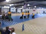 Parker County (Parker Pack) 4H Dog Drill Team