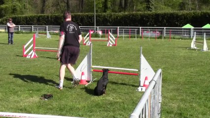 HELLBOY VAINQUEUR JUMPING CHAMPIONNAT REGIONAL 2015