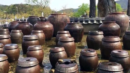 항아리 분수(세미원)