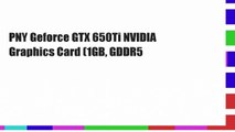 PNY Geforce GTX 650Ti NVIDIA Graphics Card (1GB, GDDR5