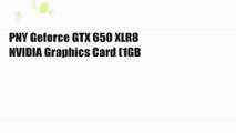 PNY Geforce GTX 650 XLR8 NVIDIA Graphics Card (1GB