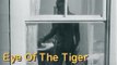 Leonard Nimoy - Eye of the Tiger - Music Video