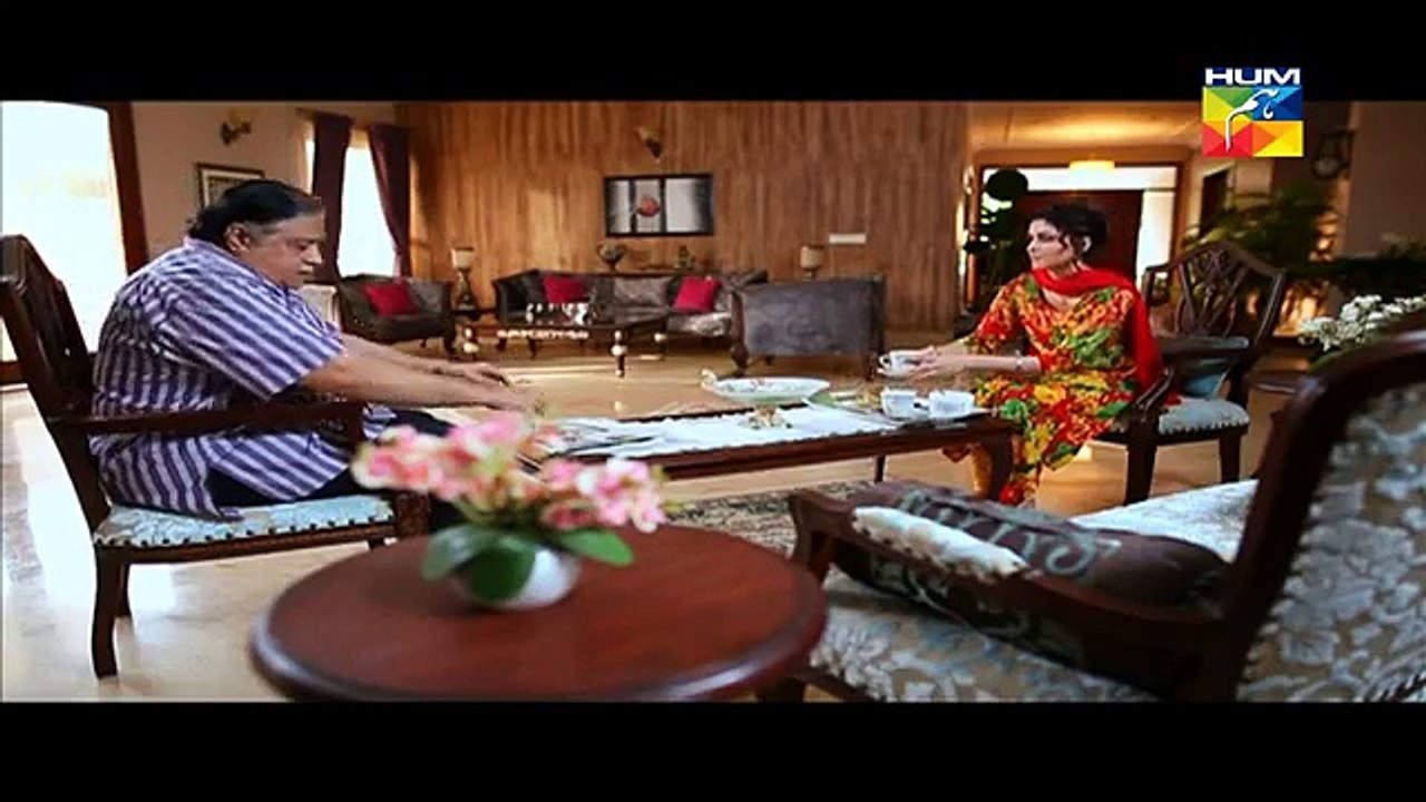 Zindagi Tum Ho Last Episode 19 full on Hum Tv - 24th April 2015