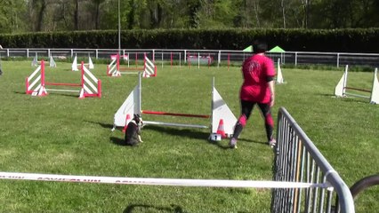 FASHION VAINQUEUR JUMPING CHAMPIONNAT REGIONAL 3e