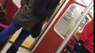 Fatness causes a fight on the Toronto TTC subway