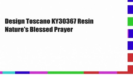 Design Toscano KY30367 Resin Nature's Blessed Prayer