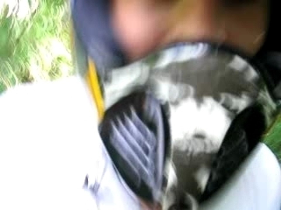 Copie de quad 2