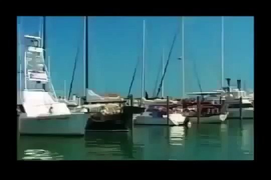 WILD JAPAN Animals/Wildlife/Nature (documentary)