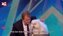 talking dog  2015  british got talent funny