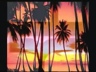 I Ran- Vice City music video