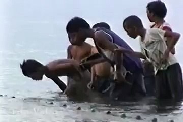 Philippines Cauayan Net Fishing Along The Shore