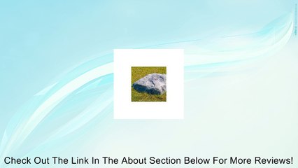 Airmax Inc. 510400-S Pond Logic TrueRock Medium Cover Rock - Sandstone Review