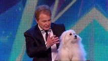 Britain's Got Talent 2015 -Marc Métral and his talking dog Wendy wow the judges- كلب يتكلم مثل البشر